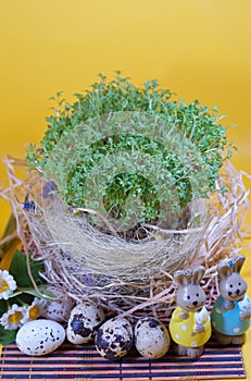 Fresh cress and rabbit and easter eggs