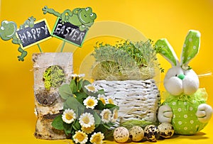 Fresh cress and rabbit and easter eggs