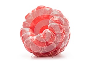 Fresh crimson raspberry isolated on white