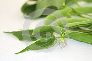 Green beans on a white background.