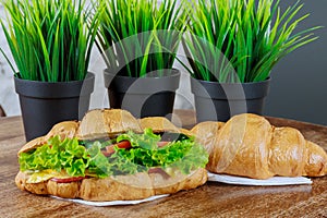 Fresh croissant with ham and salad leaf with sfresh salad on white.