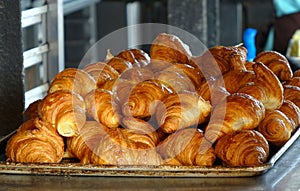 Fresh Croissant Pastry on a Tray