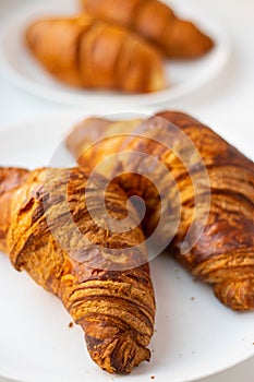 Fresh croissants on a white plate on a light background