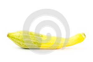 Fresh crookneck squash