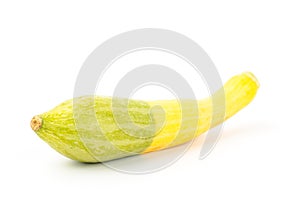 Fresh crookneck squash