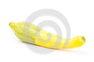 Fresh crookneck squash