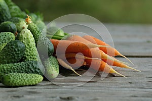 Fresh crop of carrots and cucumbers