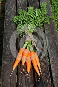 Fresh crop of carrots tie beam