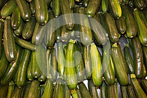 Fresh cropped green Zucchini, Offer in the vegetable market,