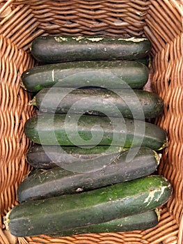 Fresh cropped green Zucchini Offer in the vegetable market Summer squash