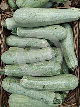 Fresh cropped green Zucchini Offer in the vegetable market Summer squash