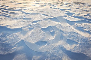Ripple Marks on Fresh Snow