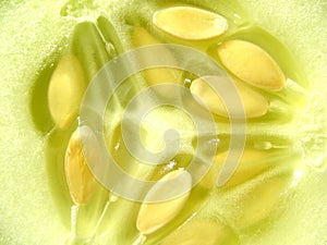 Fresh cucumber background