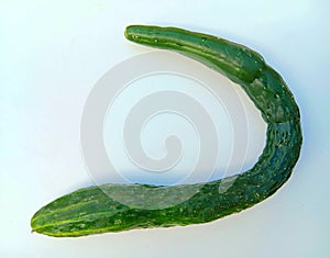 Fresh cucumber cultivar Chinese snake.