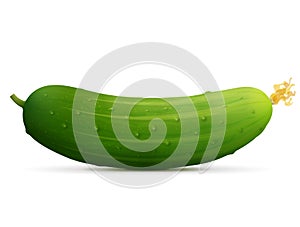 Fresh cucumber fruit close up photo