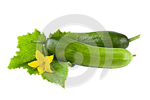 Fresh cucumber with leaf isolated on white