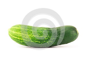 Fresh cucumber