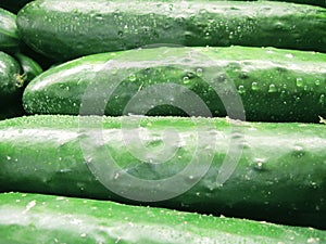 Fresh cucumbers