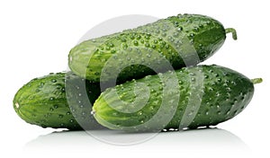 Fresh cucumbers