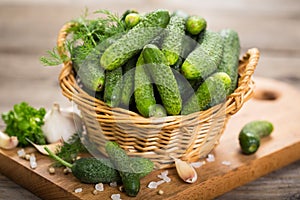 Fresh cucumbers photo