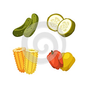 Fresh Cucumbers, Corn Cobs And Bell Pepper, Ripe Raw Vegetables Ready For Preservation Isolated On White Background