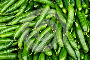 Fresh cucumbers. food background wallpaper