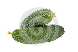 Fresh cucumbers isolated on white background photo