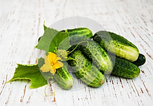 Fresh cucumbers photo