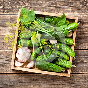 Fresh cucumbers with spices for cooking