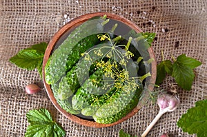 Fresh cucumbers in wooden bowl