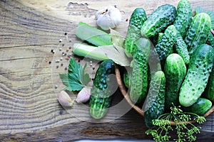 Fresh cucumbers on a wooden table. Dill, garlic and spices. Preparation of pickled cucumbers
