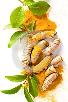 Fresh curcuma roots and powder isolated on white