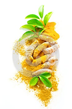 Fresh curcuma roots and powder isolated on white