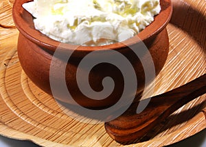 Fresh curd with clay pot on palm plate