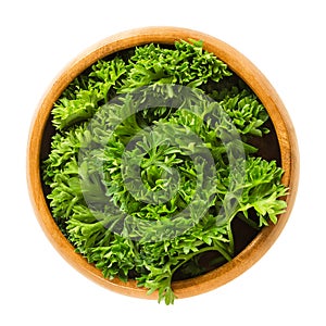 Fresh curly parsley leaves in wooden bowl over white