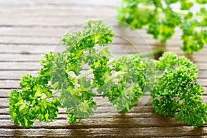 Fresh curly parsley leaves on the wooden table