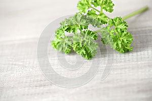 Fresh curly parsley leaves on the wooden table