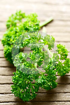 Fresh curly parsley leaves on the wooden table