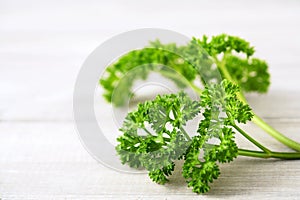 Fresh curly parsley leaves on the wooden table