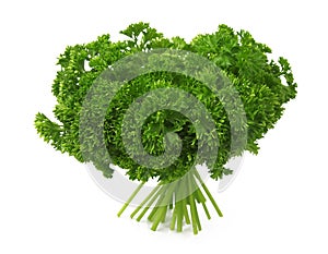 Fresh curly parsleys