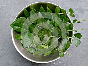 Fresh curry leaves in a bowl. Food ingredient.
