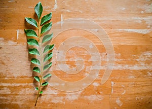 fresh curry leaves used in gujrathi Kadhi an Indian food dish with wooden background and selective focus and top view