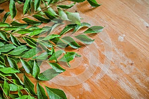 fresh curry leaves used in gujrathi Kadhi an Indian food dish with wooden background and selective focus and top view photo