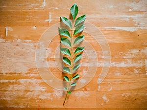 fresh curry leaves used in gujrathi Kadhi an Indian food dish with wooden background and selective focus and top view photo