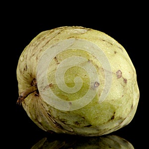 Fresh Custard Apple photo