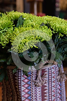 Fresh cut Chrysanthemums bouquet for sale in florist's shop.