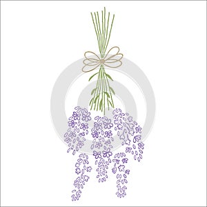 Fresh cut fragrant lavender plant flowers bunch and single 2 realistic icons set isolated vector illustration