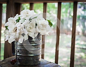 Fresh cut gardenias in an old flour sifter