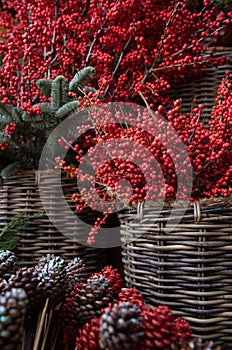 Fresh cut ilex verticillata winterberries twigs in wicker basket at the greek garden shop counter in December.