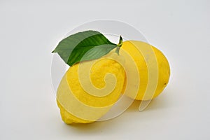Fresh cut lemon photo